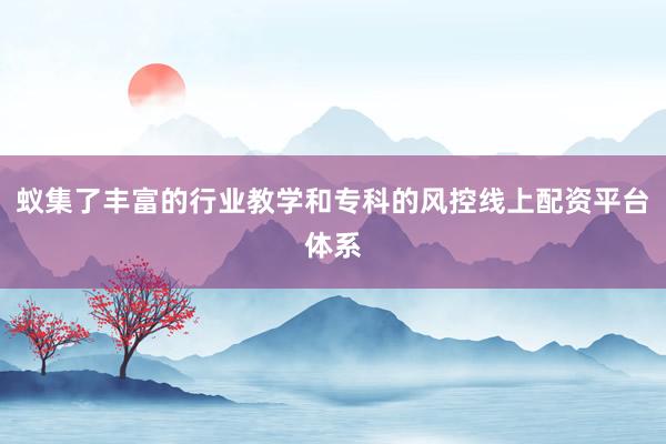 蚁集了丰富的行业教学和专科的风控线上配资平台体系