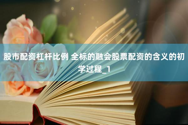 股市配资杠杆比例 全标的融会股票配资的含义的初学过程_1